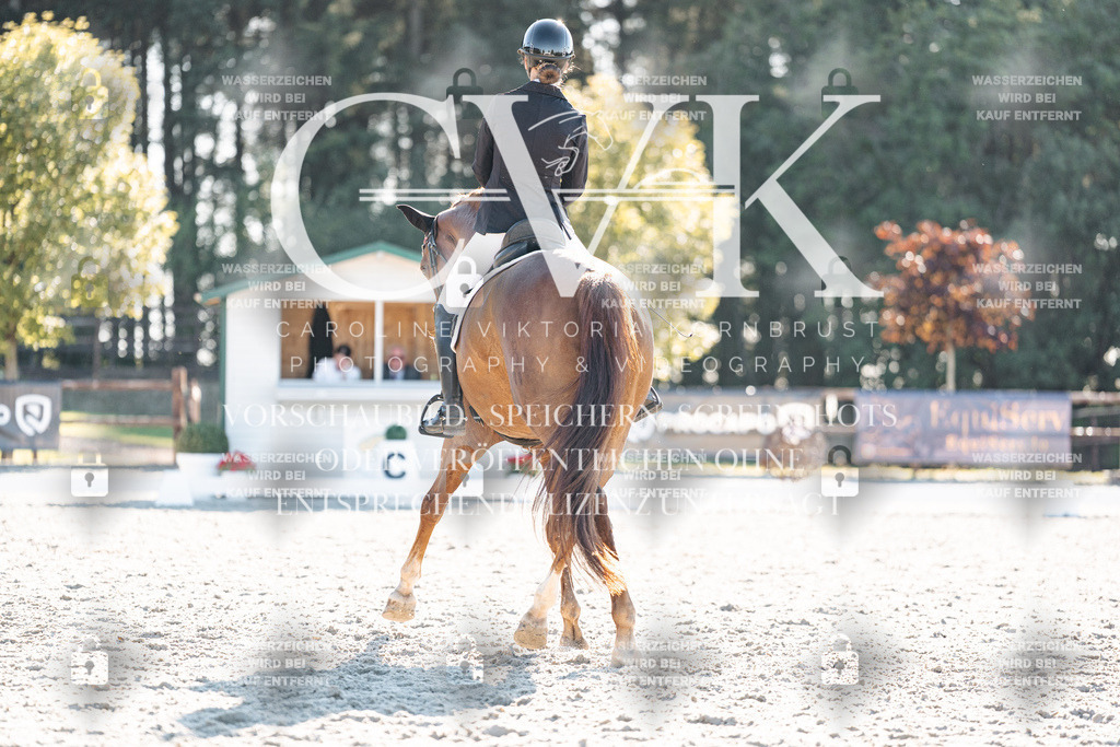 CK906660 | Turnierfotografie Pferdefotografie Trier Rheinland-Pfalz Pferdesport Reitsport Tierfotografie Sportfotografie Pferdevideo Pferdevideografie Equestrianvideography equestrianphotography  - Realisiert mit Pictrs.com
