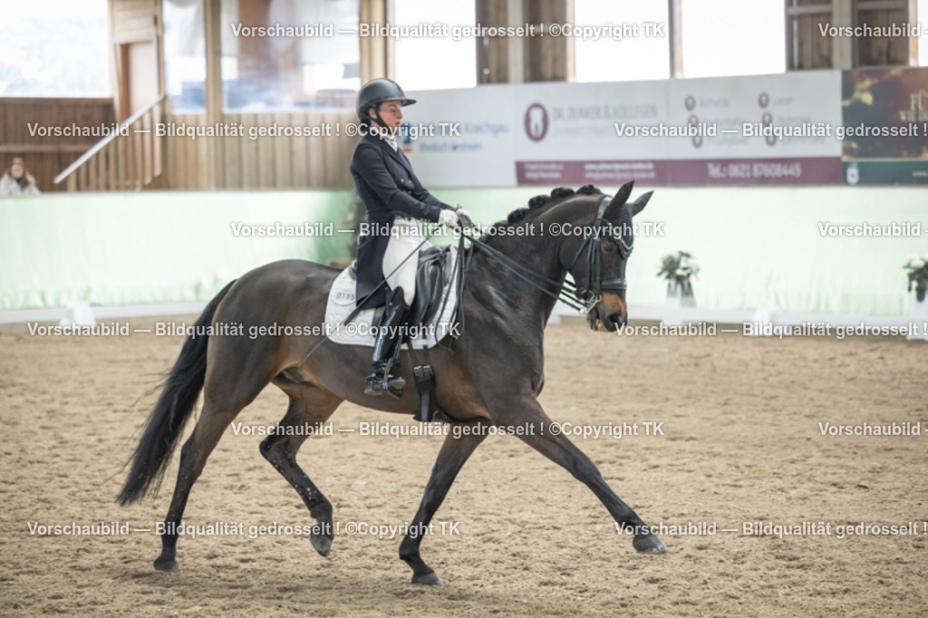 _D5A5209 | Emotionale Pferde- & People-Fotografie rund um Heidelberg, Leimen & Umgebung. Natürliche Fotos von Pferd, Mensch & Familie. Jetzt Termin sichern!