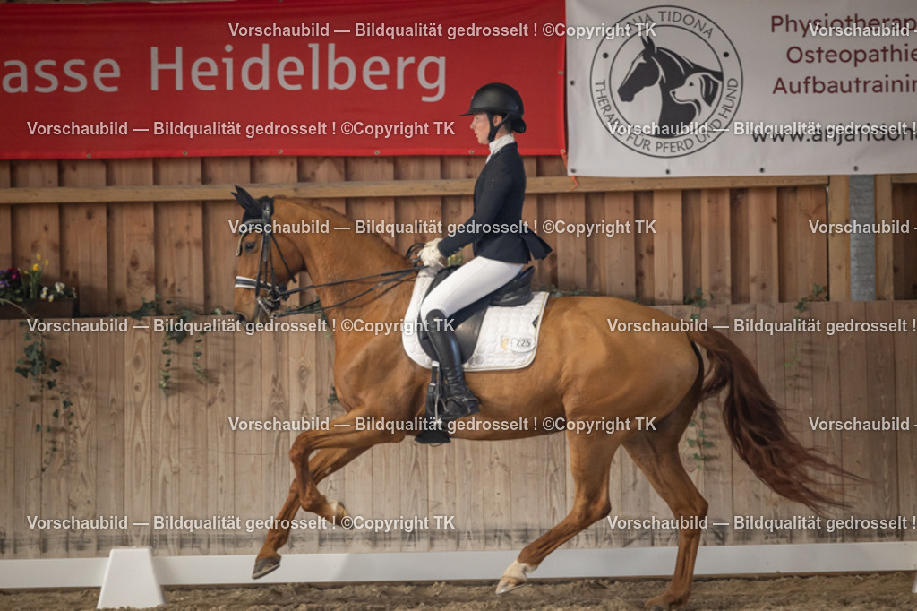 _D5A2793 | Emotionale Pferde- & People-Fotografie rund um Heidelberg, Leimen & Umgebung. Natürliche Fotos von Pferd, Mensch & Familie. Jetzt Termin sichern!