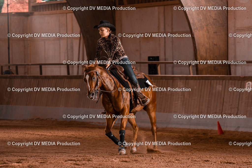 NE201199 | dv-media-shop - Realisiert mit Pictrs.com