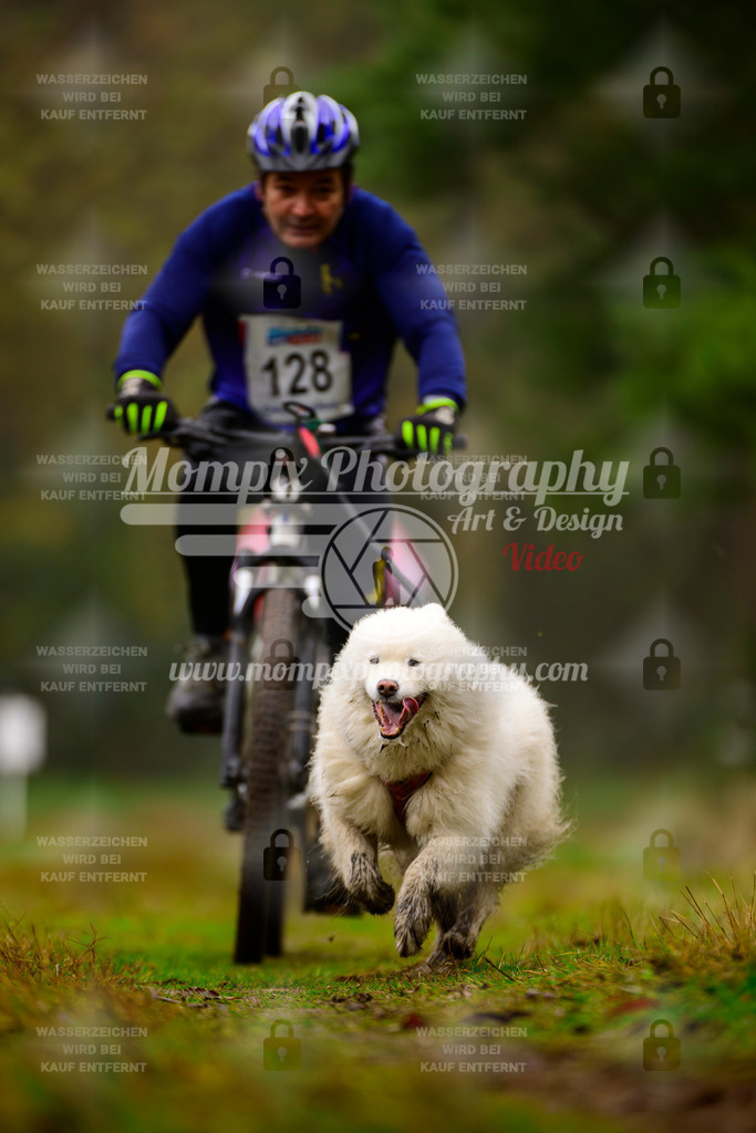 MompixPhotography_Bischwiller2025_Bike-88 | mompixphotography