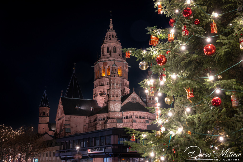 DSC_6815 | Fotografien, Fotos und Bilder aus Mainz, Frankfurt, Wiesbaden und anderen Orten auf der Welt - Fotografiert von Darius Metzner