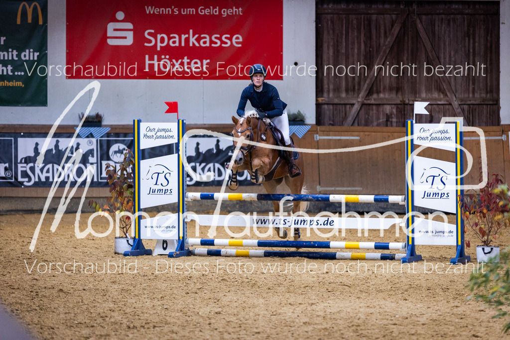 Sth-A-Springen-143 | MomenTaufnahmen Pferdesportfotos