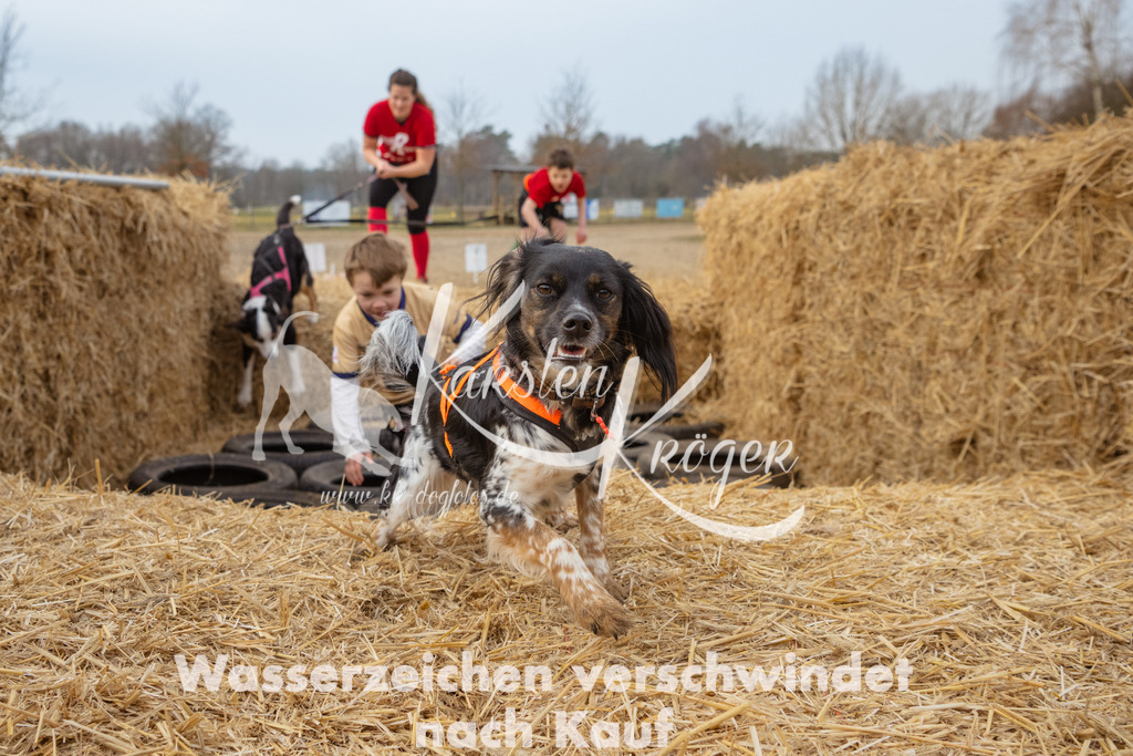 0904_ZZ96449 | kk-dogfotos