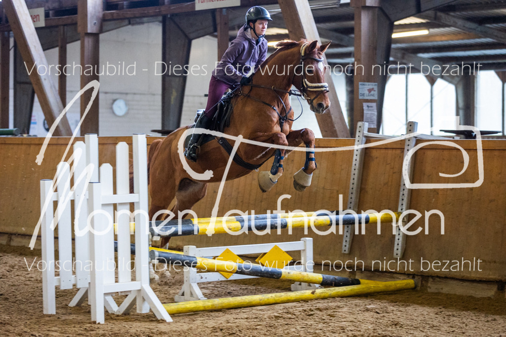 LehrgSth24-013 | MomenTaufnahmen Pferdesportfotos
