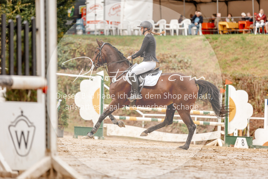 3I6A6842 | Stimmungsvolle Portraits und Reitsportfotografie im Ruhrgebiet und im Münsterland.

Pferdefotografie, Hundefotografie, Tierfotografie, Reportagen, Portraits von Tier und Mensch, Turnierfotografie in Bochum, Recklinghausen, Marl, Haltern am See, Dülmen.. - Realisiert mit Pictrs.com