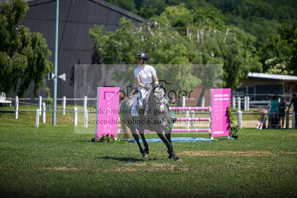 Reitturnier Voxtrup | Entdecke hochwertige Reitturnierfotos von Foto Oger. Professionell, emotional und authentisch – jetzt Lieblingsmomente im Shop bestellen. - Realisiert mit Pictrs.com