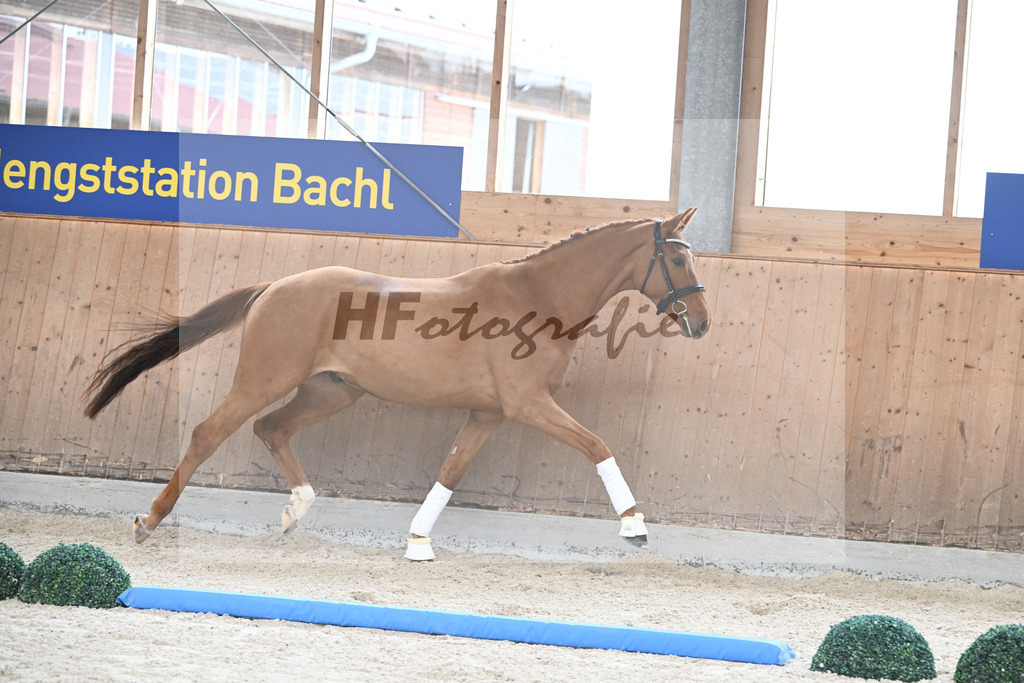 Kat-Nr. 89 Dekanto v. Desperados_Hoffmann_7241675 | hf-fotografie - Realizzato con Pictrs.com