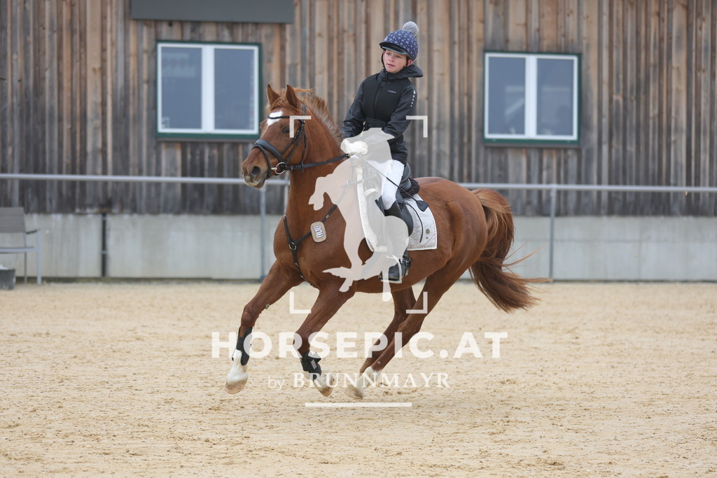 0P6A8236 | Willkommen bei Brunnmayr - Design & Fotografie – Ihrem Spezialisten für Reitturniere und Pferdeveranstaltungen in Oberösterreich, Salzburg und Bayern! Seit über 17 Jahren sind wir leidenschaftlich dabei.