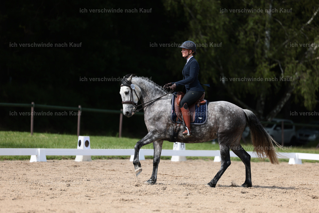 KlasseM_Stoibphotography_C2_L6578.JPG | working equitationturnier fotograf videograf stoibphotography marixx film working equitation deutschland reitsport turnierfotografie eventfotografie equestrian events