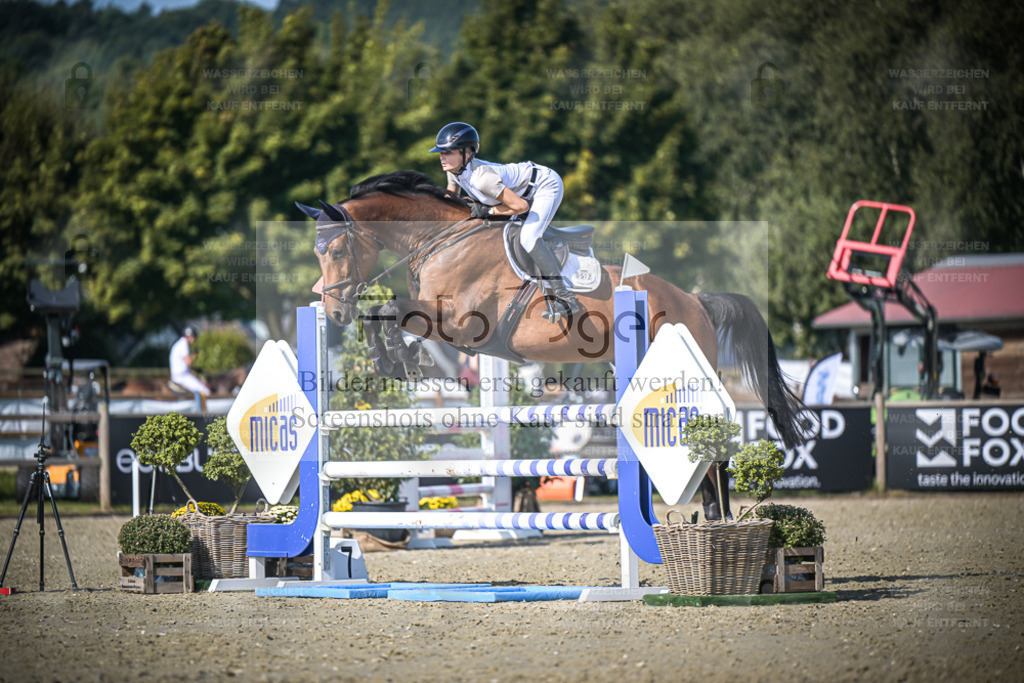 DOS_0312 | Entdecke hochwertige Reitturnierfotos von Foto Oger. Professionell, emotional und authentisch – jetzt Lieblingsmomente im Shop bestellen. - Realisiert mit Pictrs.com