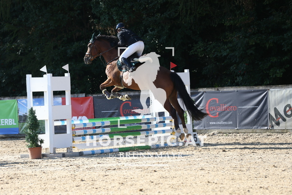 DL2Q7707 | Willkommen bei Brunnmayr - Design & Fotografie – Ihrem Spezialisten für Reitturniere und Pferdeveranstaltungen in Oberösterreich, Salzburg und Bayern! Seit über 17 Jahren sind wir leidenschaftlich dabei.