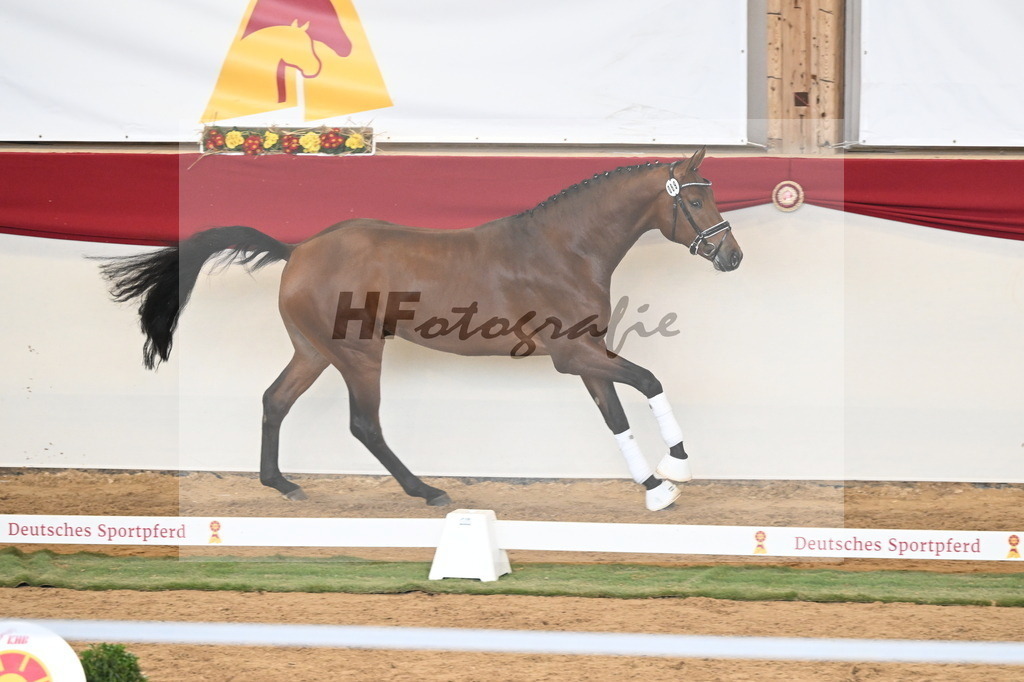 Kat.-Nr. 89 v. Zackerey_Ramsbrock_3261334 | hf-fotografie - Realisiert mit Pictrs.com