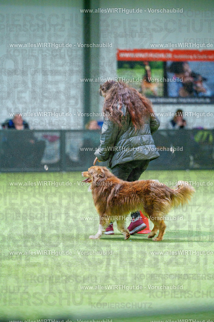 7R501189 | Professionelle Tierfotografie in Mönchengladbach von Daniel Wirth (allesWIRTHgut). Liebevolle & natürliche Bilder von Hunden & Katzen für unvergessliche Erinnerungen.