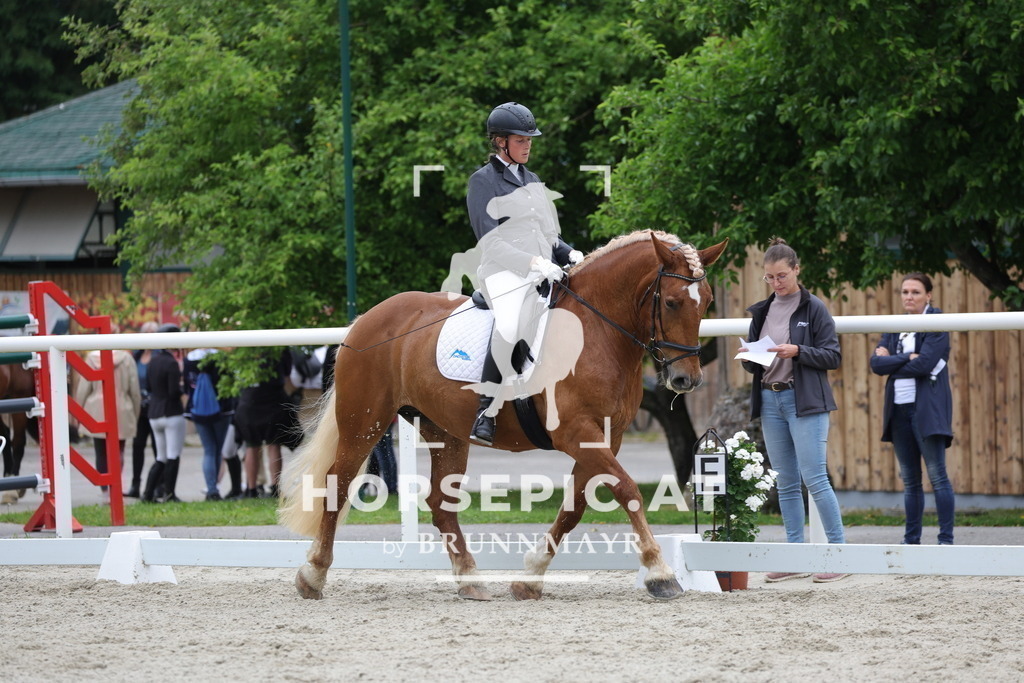 0P6A5359 | Willkommen bei Brunnmayr - Design & Fotografie – Ihrem Spezialisten für Reitturniere und Pferdeveranstaltungen in Oberösterreich, Salzburg und Bayern! Seit über 17 Jahren sind wir leidenschaftlich dabei.