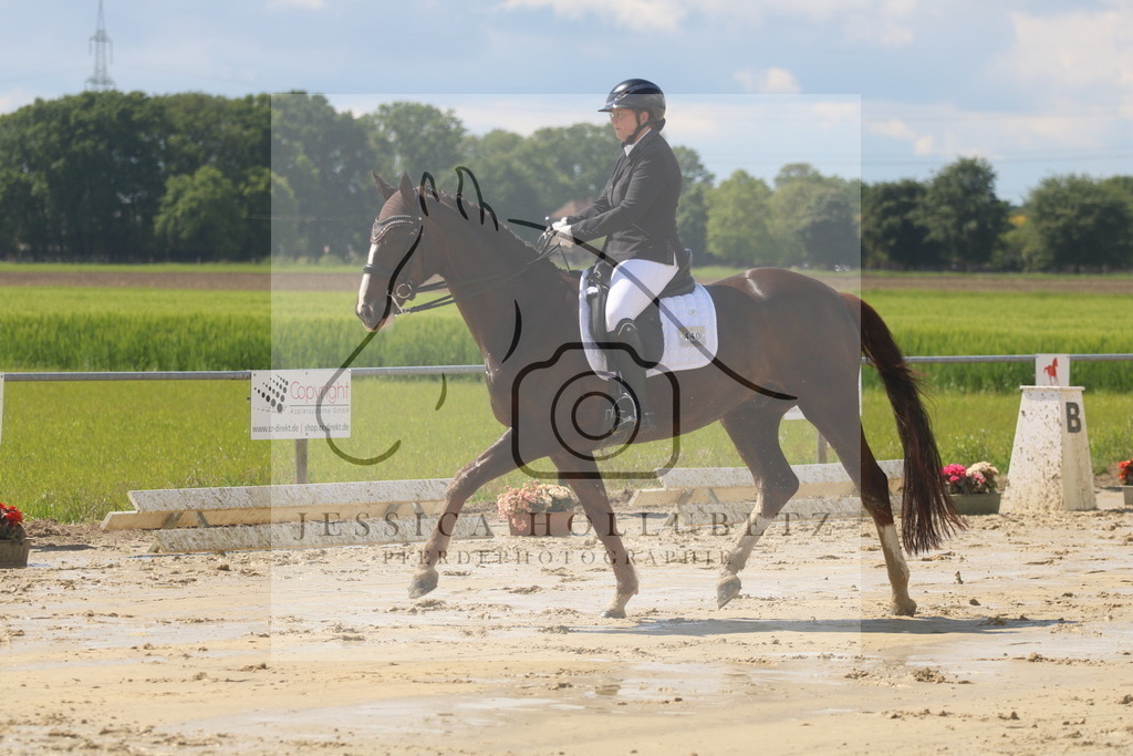 IMG_9206 | jessicahollubetz_pferdephotographie - Realisiert mit Pictrs.com