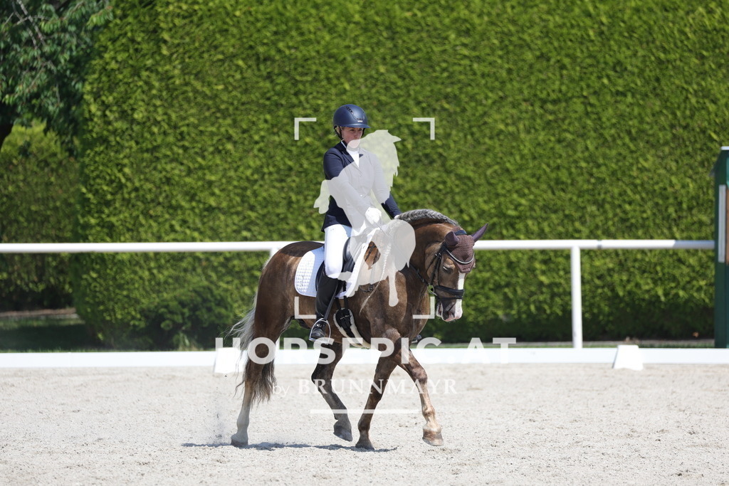 0P6A6445 | Willkommen bei Brunnmayr - Design & Fotografie – Ihrem Spezialisten für Reitturniere und Pferdeveranstaltungen in Oberösterreich, Salzburg und Bayern! Seit über 17 Jahren sind wir leidenschaftlich dabei.