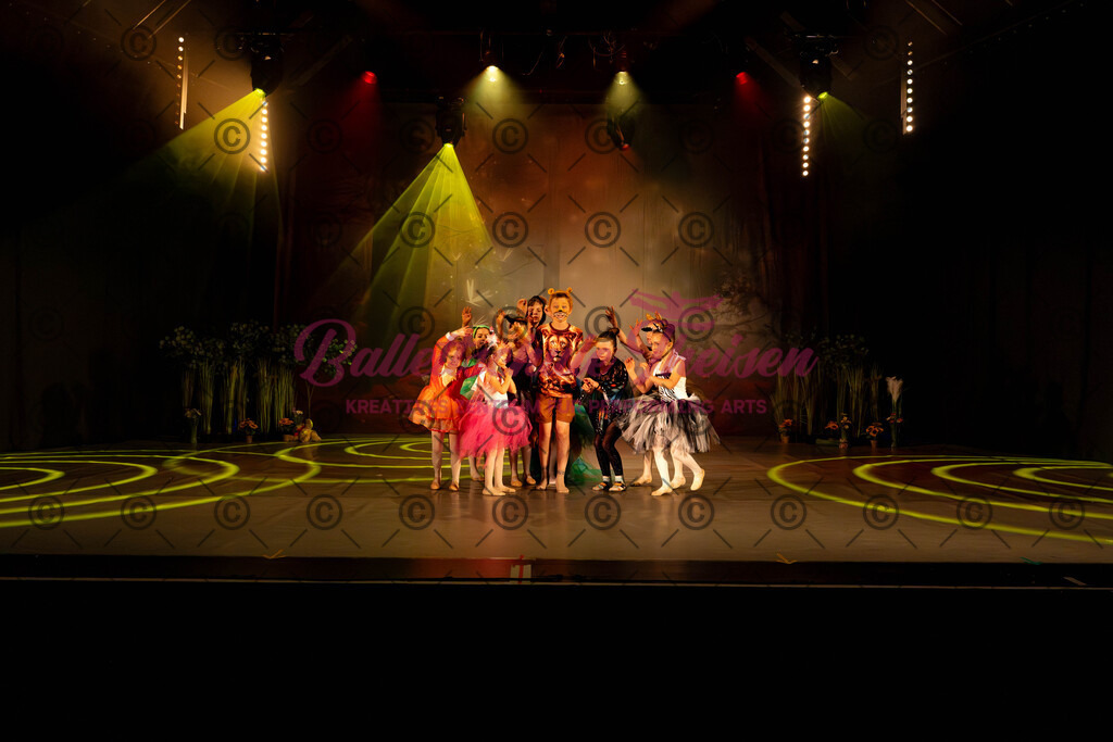 Ballettaufführung-443 | Bildershop Lem'n Entertainment - Realisiert mit Pictrs.com