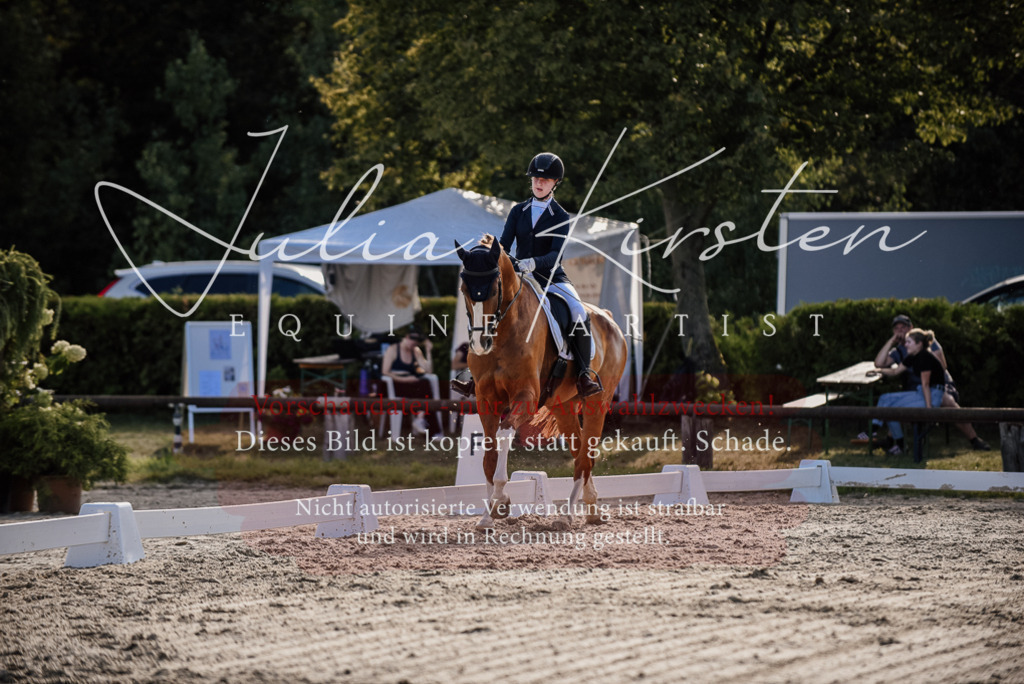 DSC_0521 | Pferde- und Turnierfotografie in Westsachsen. Pferdeportraits, Auftragszeichnungen und intuitive Kunst.