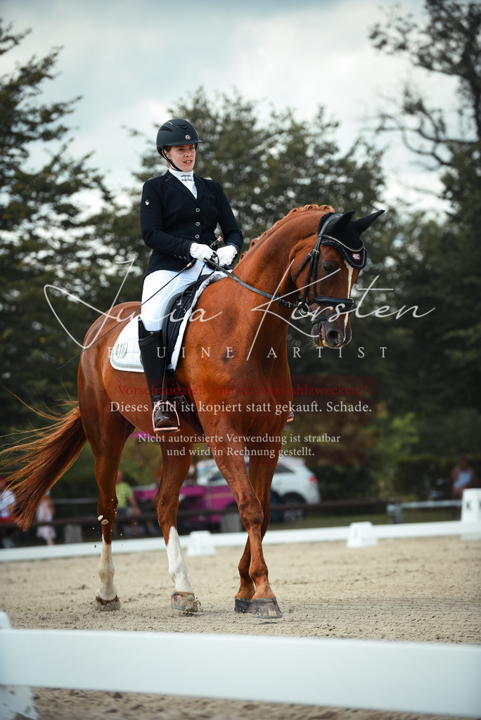 DSC_9092 | Pferde- und Turnierfotografie in Westsachsen. Pferdeportraits, Auftragszeichnungen und intuitive Kunst.