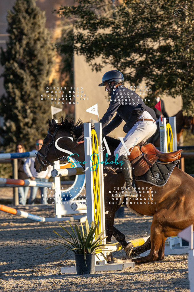 IMG_2936 | s-jay-photography - Realisiert mit Pictrs.com