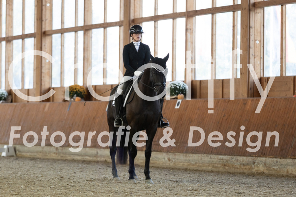 IMG_5574 | Creatify Fotografie