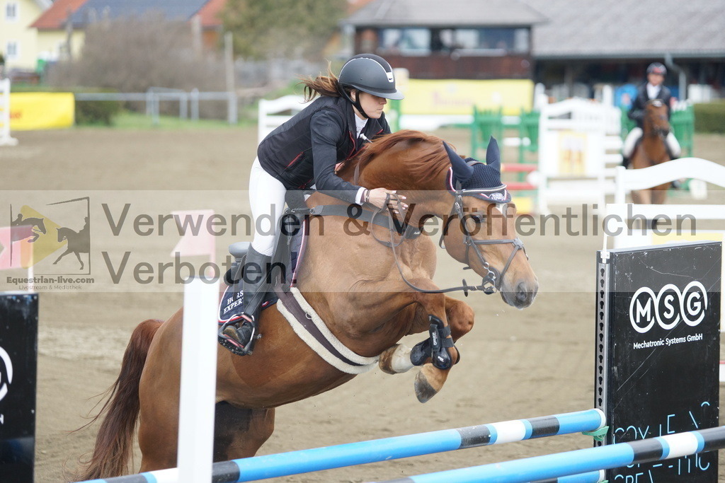 DSC00987 | equestrian-live-com