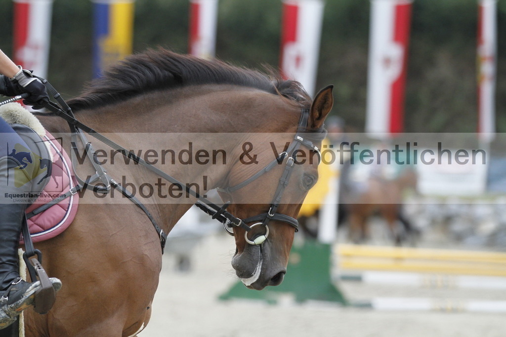 _MG_2806 | equestrian-live-com