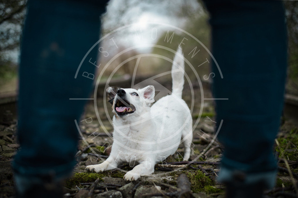 DSC_1509 | best-moments-photography - Realisiert mit Pictrs.com