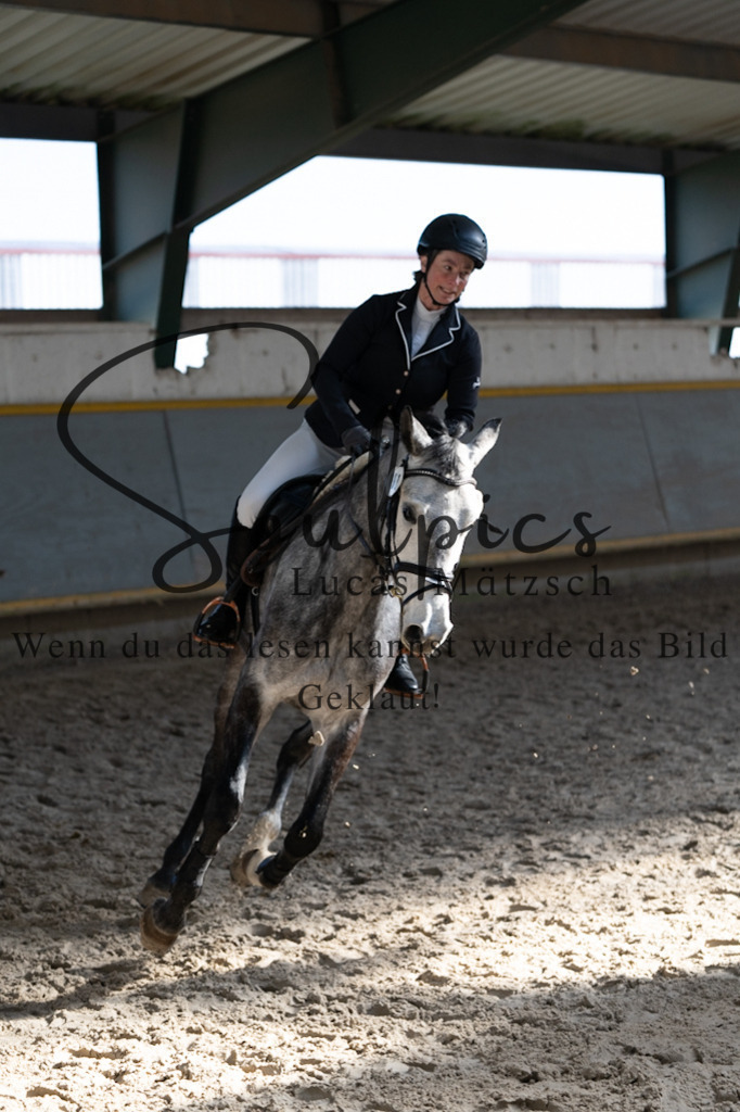 A7V06376 | Pferdefotograf