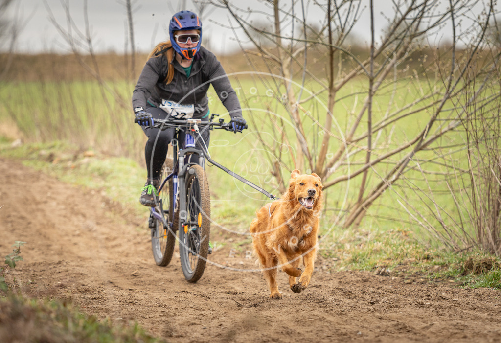 DV3A0984 | Hundefotografie, Tierfotograf, Pfotenfotografie, Fotoshooting Hund, Hunde Portrait, Hundesport, Hundeportraits, Heideshooting, Hunde, Sportfotograf, Hundefotograf, Turnierhundsport, THS,  - Realisiert mit Pictrs.com