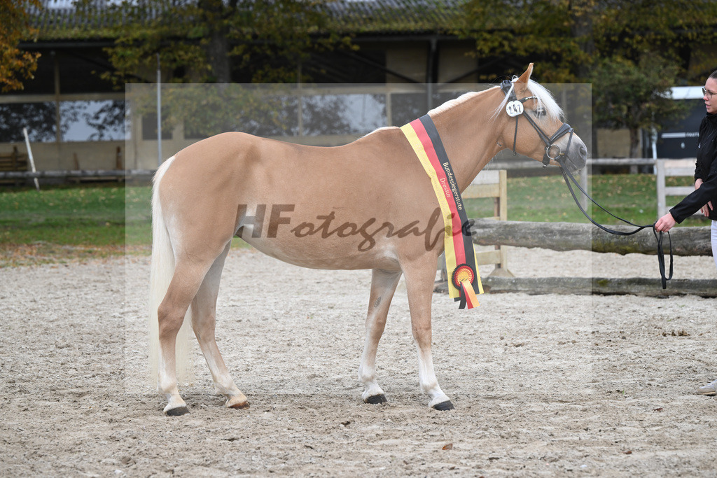 Kat-Nr. 247 Belle Fleur_Stange_54223588 | hf-fotografie - Realisiert mit Pictrs.com