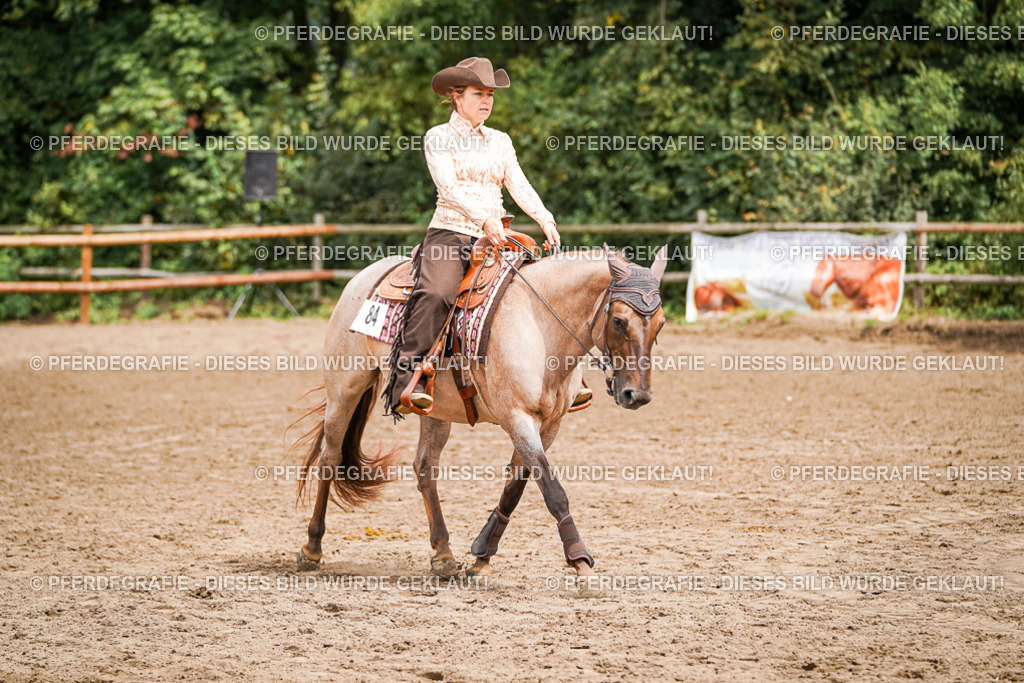 DSC04706 | Pferdegrafie