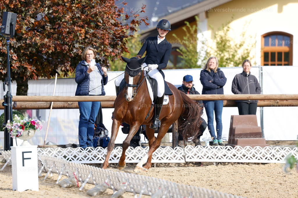 09_2-163-DRESSUR  S_  -StoibPH-5736 | working equitationturnier fotograf videograf stoibphotography marixx film working equitation deutschland reitsport turnierfotografie eventfotografie equestrian events