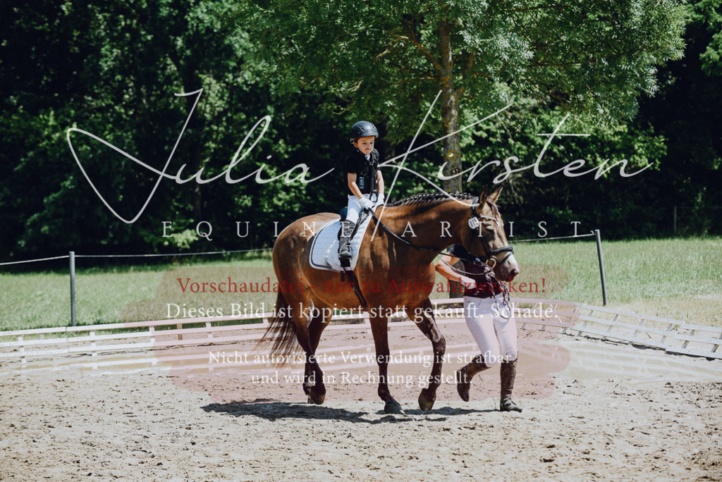 DSC_2598 | Pferde- und Turnierfotografie in Westsachsen. Pferdeportraits, Auftragszeichnungen und intuitive Kunst.