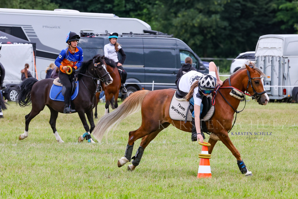1B3A1487 | Reitsport Reiten