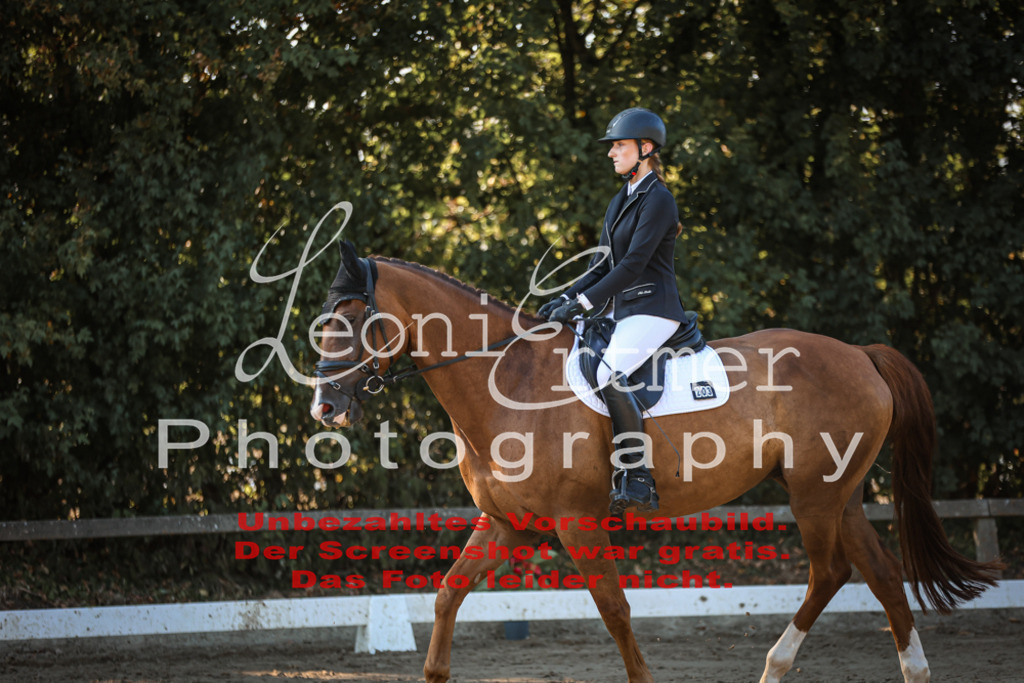 02.SaDrA00106 | Leoni Ertmer Photography - Realisiert mit Pictrs.com