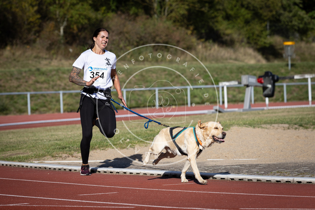 Pfotenfotografie_DV3A9869 | Hundefotografie, Tierfotograf, Pfotenfotografie, Fotoshooting Hund, Hunde Portrait, Hundesport, Hundeportraits, Heideshooting, Hunde, Sportfotograf, Hundefotograf, Turnierhundsport, THS,  - Realisiert mit Pictrs.com