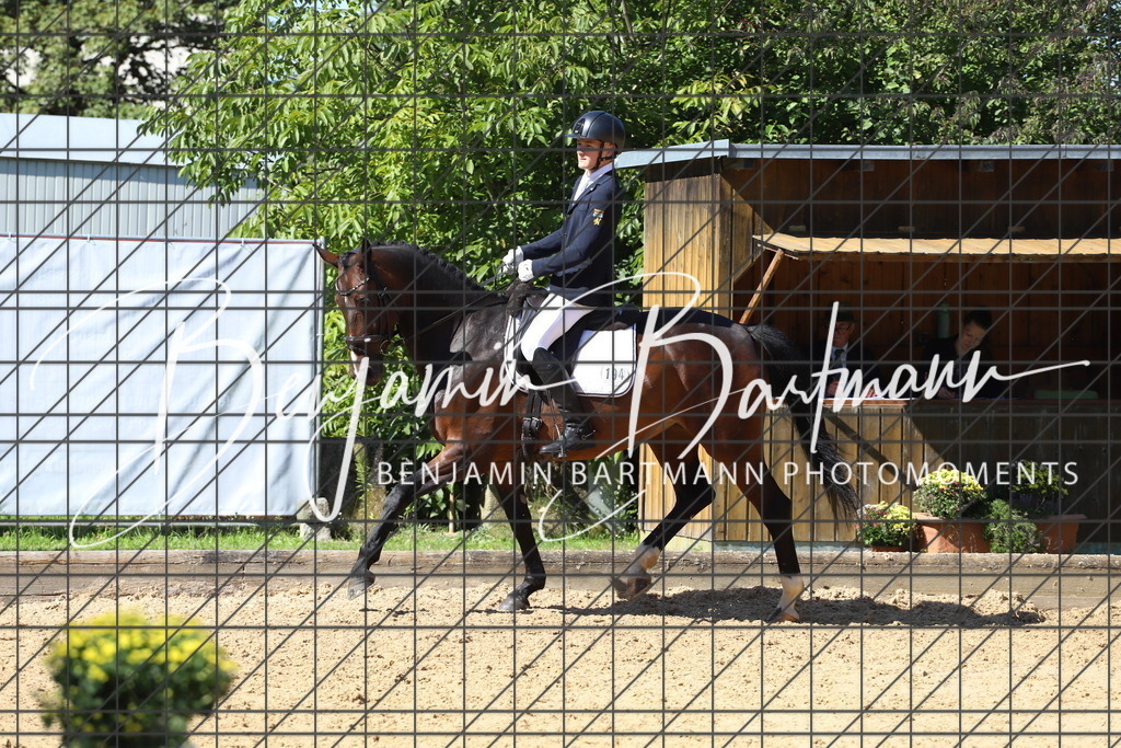 IMG_5930 | Benjamin Bartmann Photomoments