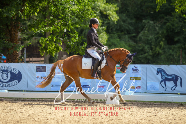 DKP42719 | Turniersportfotografie; Pferdefotografie; Dressurfotografie