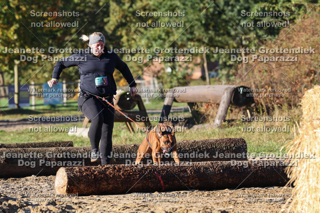 Dog Paparazzi - Strongdog 10-25-1319 | Dog Paparazzi Jeanette Grottendiek Fotografie & Videografie - Realisiert mit Pictrs.com