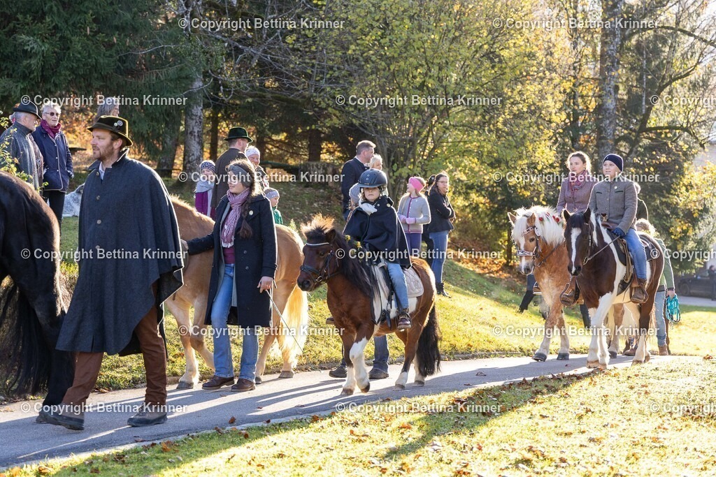 LL24-212 | foto-bettina-krinner - Realisiert mit Pictrs.com