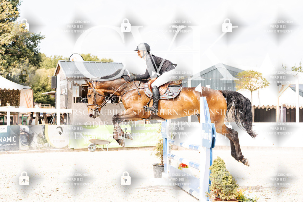 CK909119 | Turnierfotografie Pferdefotografie Trier Rheinland-Pfalz Pferdesport Reitsport Tierfotografie Sportfotografie Pferdevideo Pferdevideografie Equestrianvideography equestrianphotography  - Realisiert mit Pictrs.com