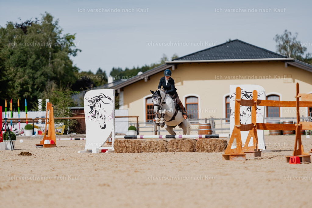Steffi23_FHC2025-67 | working equitationturnier fotograf videograf stoibphotography marixx film working equitation deutschland reitsport turnierfotografie eventfotografie equestrian events
