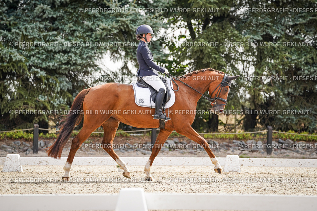 DSC07575 | Pferdegrafie