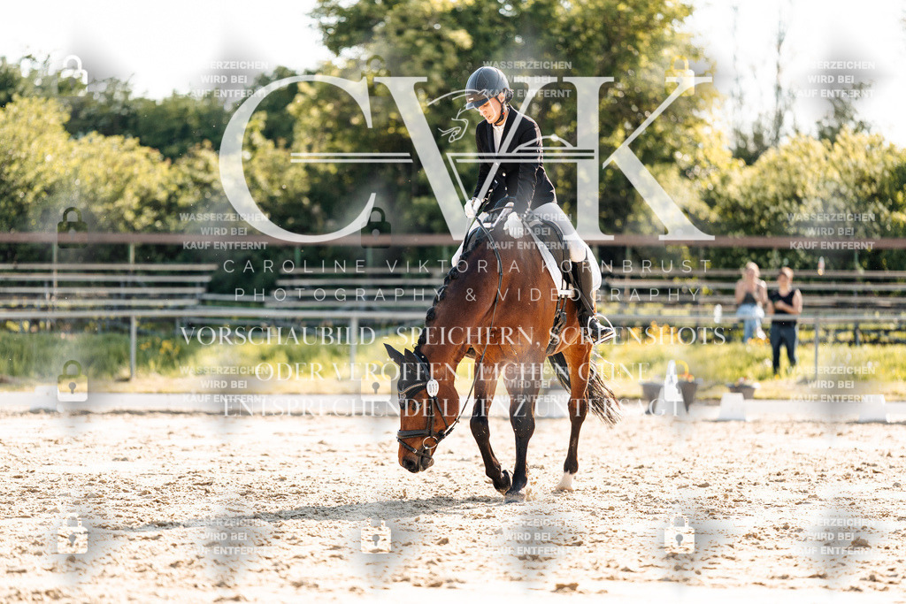 CK909881 | Turnierfotografie Pferdefotografie Trier Rheinland-Pfalz Pferdesport Reitsport Tierfotografie Sportfotografie Pferdevideo Pferdevideografie Equestrianvideography equestrianphotography  - Realisiert mit Pictrs.com