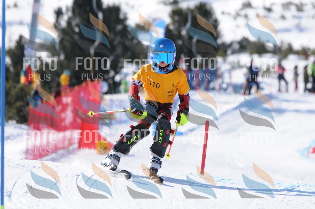 C7120 | holidayphoto