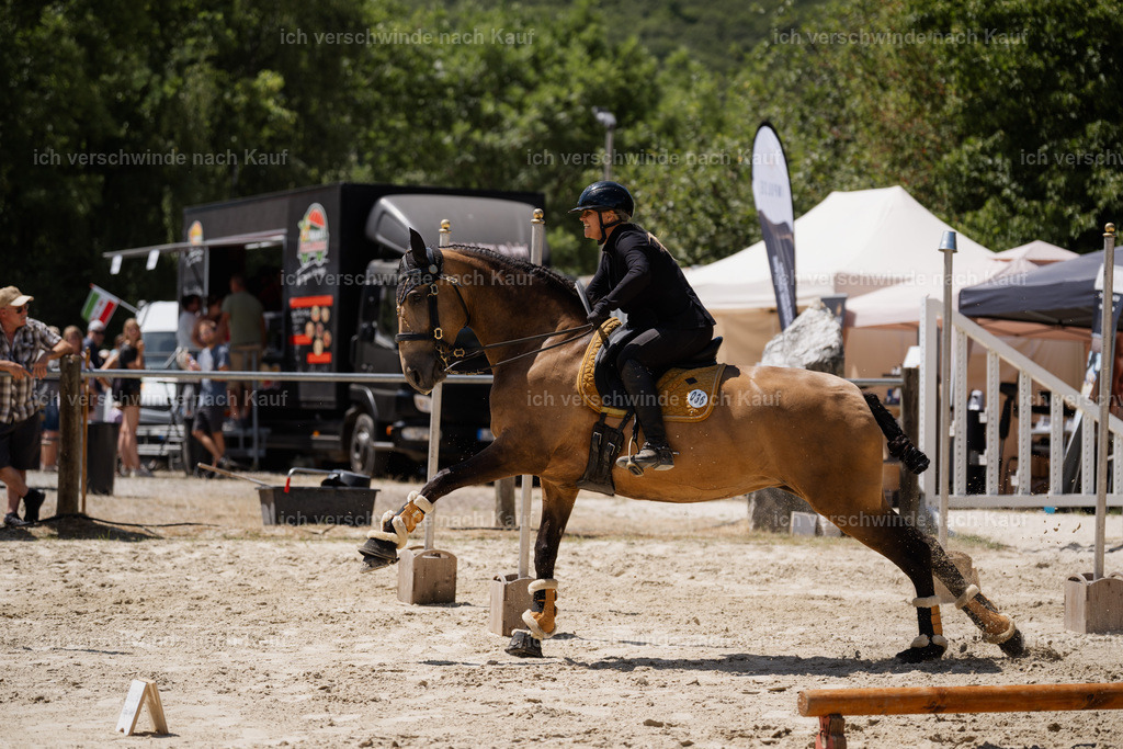 WM_SP_36_Stoibphotography_SO19433 | working equitationturnier fotograf videograf stoibphotography marixx film working equitation deutschland reitsport turnierfotografie eventfotografie equestrian events