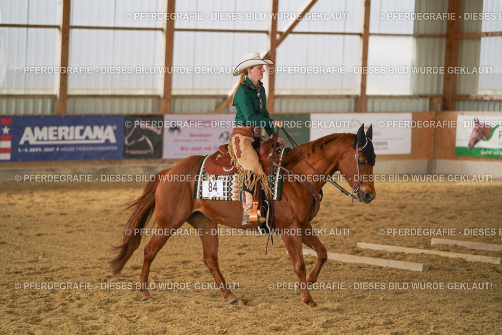 DSC04607 | Pferdegrafie