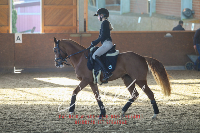 DKP42183 | Turniersportfotografie; Pferdefotografie; Dressurfotografie
